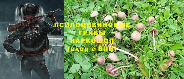 скорость Магас