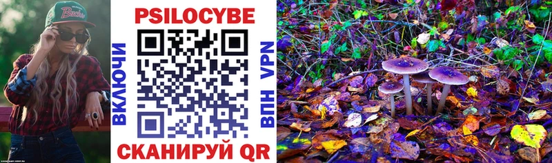 Галлюциногенные грибы Cubensis где купить наркотик Шиханы